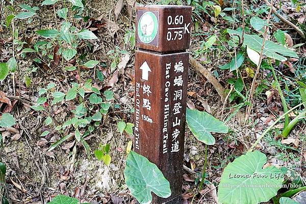 台中太平登山步道 太平蝙蝠洞 百蝙吊橋 太平半日遊 台中大坑步道   週末踏青趣   休閒級登山步道   太平半日遊 台中景點   太平蝙蝠洞 百蝙吊橋 蝙蝠洞登山步道 護國清涼寺  1DSC02396.JPG