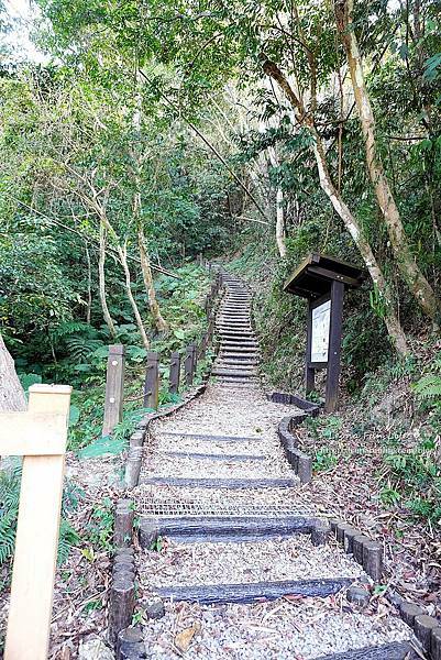 台中太平登山步道 太平蝙蝠洞 百蝙吊橋 太平半日遊 台中大坑步道   週末踏青趣   休閒級登山步道   太平半日遊 台中景點   太平蝙蝠洞 百蝙吊橋 蝙蝠洞登山步道 護國清涼寺  1DSC02370.JPG