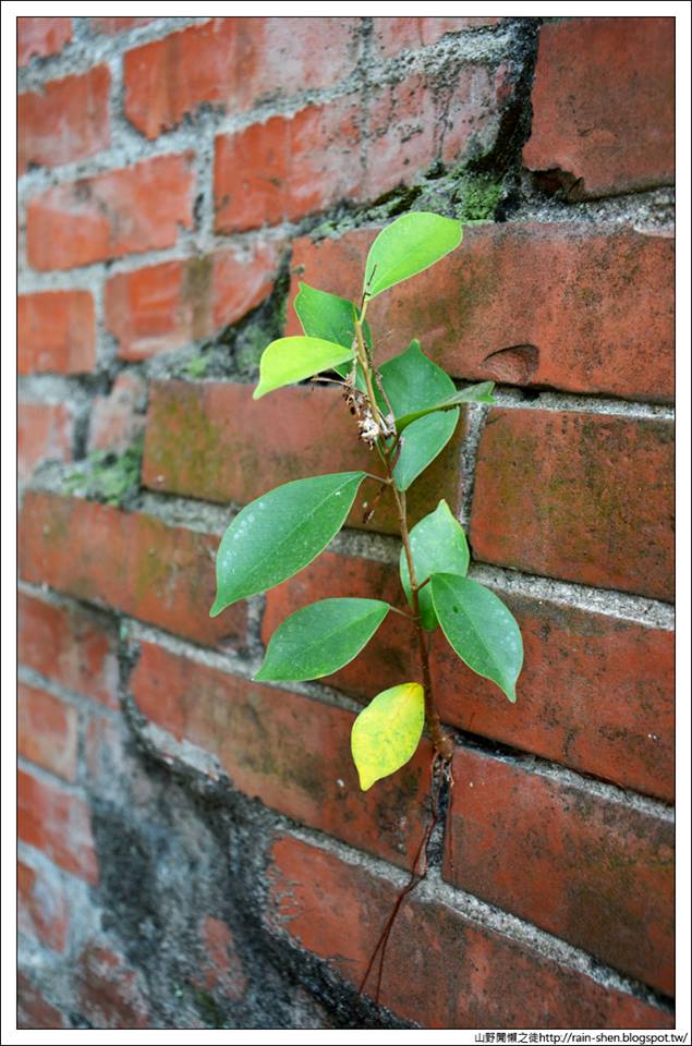【台中】霧峰.光復新村(附地圖)