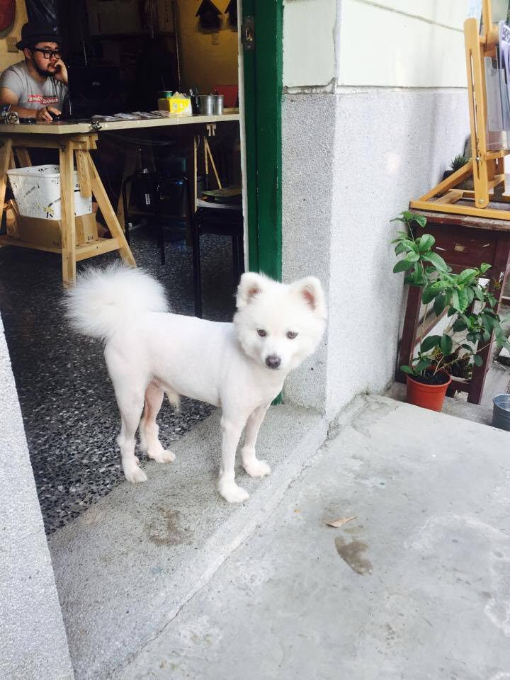 16118723_10155610845287656_682071739_n