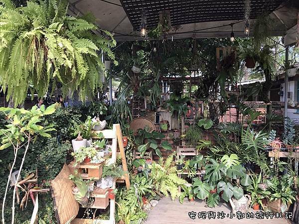 台中光復新村 (33).JPG