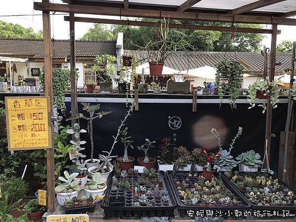 台中光復新村 (36).JPG