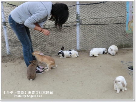 【台中.豐原】東豐自行車綠廊●三人行、愜意遊●