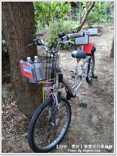 【台中.豐原】東豐自行車綠廊●三人行、愜意遊●