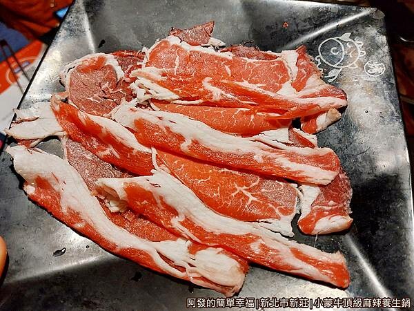 小蒙牛13-xx牛.jpg 小蒙牛13-xx牛.jpg