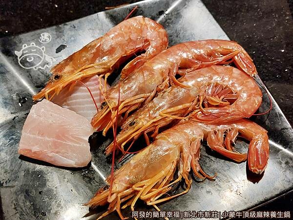 小蒙牛12-天使紅蝦.jpg 小蒙牛12-天使紅蝦.jpg