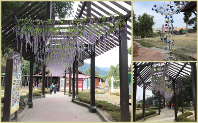 台中石岡景點[情人木橋] 有全國最大水車、遠東地區無橋墩、跨距最長的景觀木橋