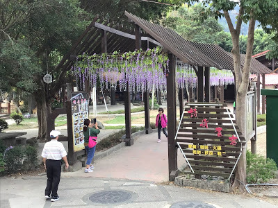 台中石岡景點[情人木橋] 有全國最大水車、遠東地區無橋墩、跨距最長的景觀木橋