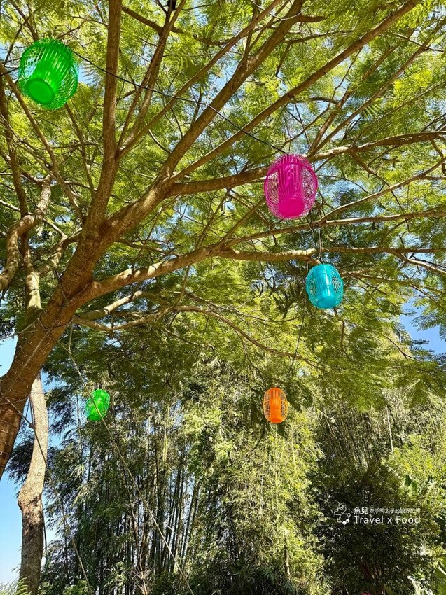 三峽鳶山紅樓｜適聚會無菜單創意料理，都市邊郊特色景觀餐廳 - 魚兒 x 牽手明太子的「視」界旅行