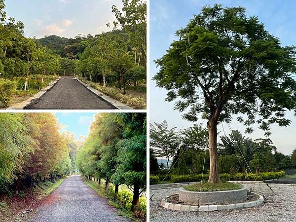 新北美食鶯歌樹林土城大溪板橋三峽美食鳶山紅樓無菜單海鮮牛排 (35).jpg