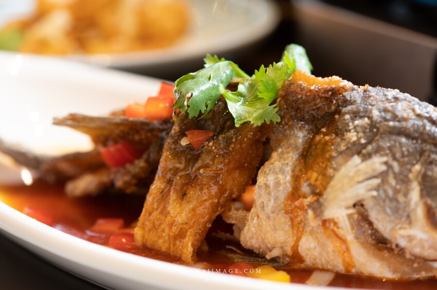 台中美食推薦|丰禾台式小館-大里德芳南店~王品旗下新型態台式料理,聚餐首選,多人套餐選擇更多!文末有大里區專屬優惠。 @麥仔の食尚生活