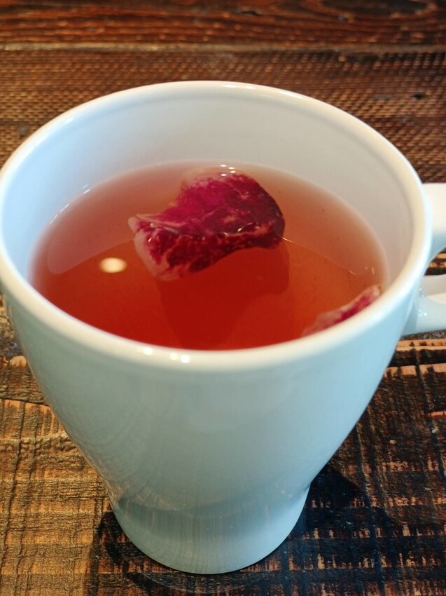 【新竹.竹北】樹廚房tupang無菜單料理。一人$1350盡享廚師的創意料理。超棒用餐環境+寵物友善