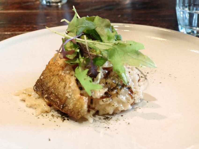 【新竹.竹北】樹廚房tupang無菜單料理。一人$1350盡享廚師的創意料理。超棒用餐環境+寵物友善