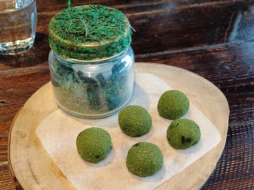 【新竹.竹北】樹廚房tupang無菜單料理。一人$1350盡享廚師的創意料理。超棒用餐環境+寵物友善