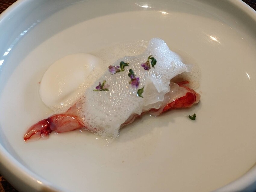 【新竹.竹北】樹廚房tupang無菜單料理。一人$1350盡享廚師的創意料理。超棒用餐環境+寵物友善