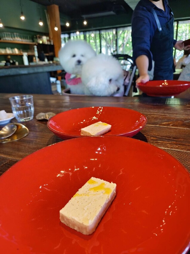 【新竹.竹北】樹廚房tupang無菜單料理。一人$1350盡享廚師的創意料理。超棒用餐環境+寵物友善