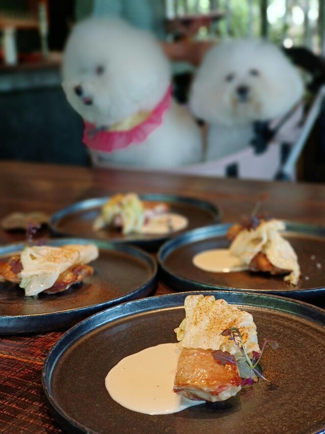 【新竹.竹北】樹廚房tupang無菜單料理。一人$1350盡享廚師的創意料理。超棒用餐環境+寵物友善