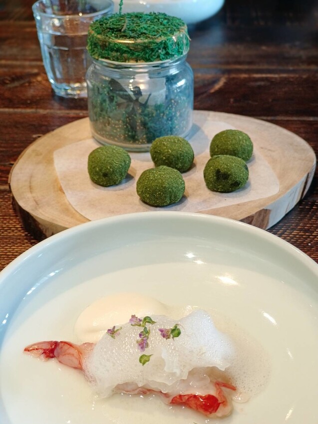 【新竹.竹北】樹廚房tupang無菜單料理。一人$1350盡享廚師的創意料理。超棒用餐環境+寵物友善