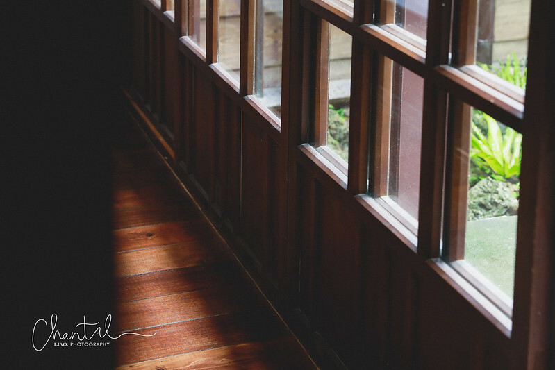 _J6A3542-2 拷貝 _J6A3542-2 拷貝