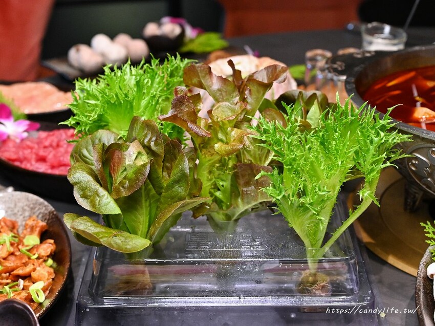 岩漿火鍋｜新竹人氣麻辣鴛鴦鍋進軍台中，鍋底免費無限續，還有會噴火的火焰炙燒豬