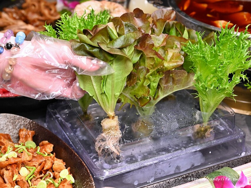 岩漿火鍋｜新竹人氣麻辣鴛鴦鍋進軍台中，鍋底免費無限續，還有會噴火的火焰炙燒豬