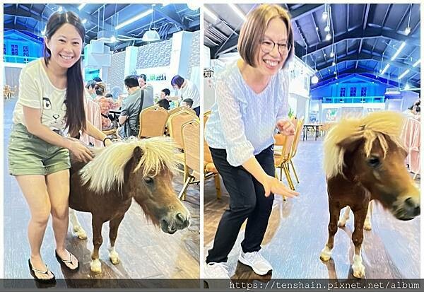 【宜蘭礁溪美食】《皇家花園餐廳》粵式脆皮烤雞,風味獨特;公雞 【宜蘭礁溪美食】《皇家花園餐廳》粵式脆皮烤雞,風味獨特;公雞