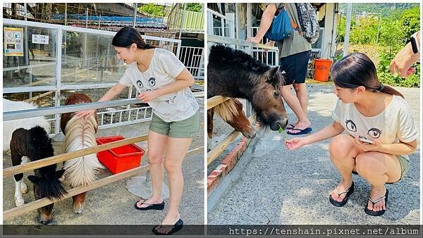【宜蘭礁溪美食】《皇家花園餐廳》粵式脆皮烤雞,風味獨特;公雞 【宜蘭礁溪美食】《皇家花園餐廳》粵式脆皮烤雞,風味獨特;公雞