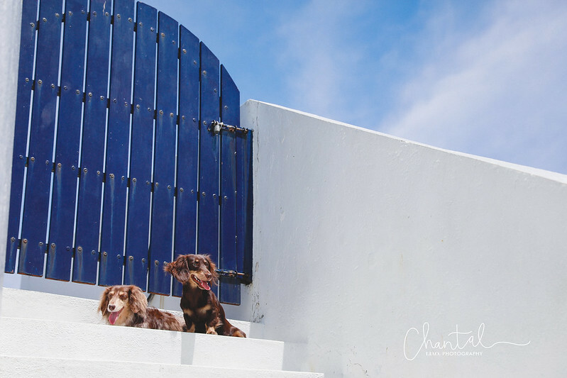 _J6A1803-2 拷貝 _J6A1803-2 拷貝