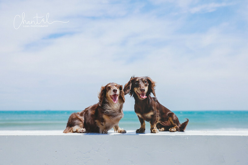 _J6A1840-2拷貝 拷貝 2 _J6A1840-2拷貝 拷貝 2