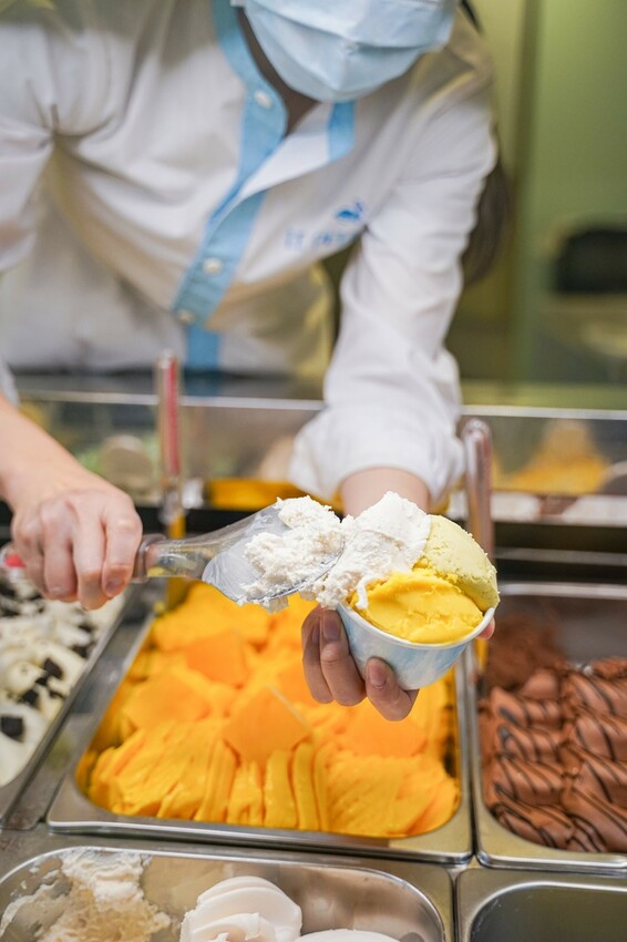 高雄美食|真材實料吃一口就上癮的法式冰淇淋/貝力岡法式冰淇淋