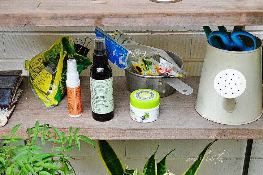 【台北】永春｜本然生活 Nisarga Cafe，小巷中的老宅咖啡廳