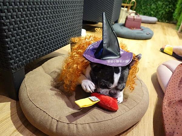 DSC04270.JPG DSC04270.JPG