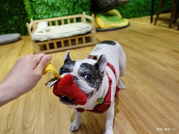 DSC04285.JPG DSC04285.JPG