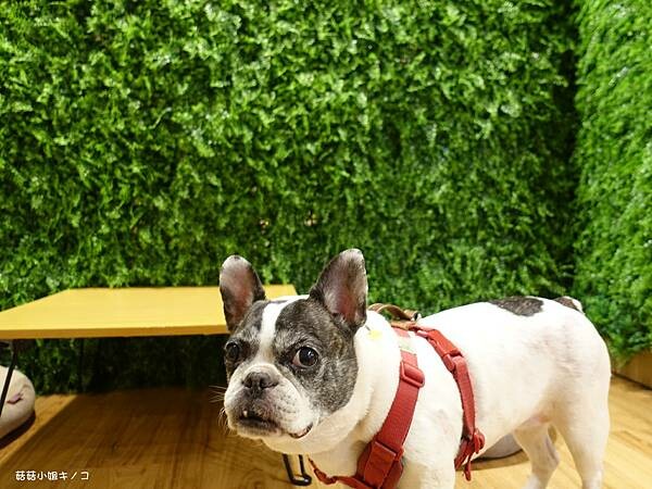 DSC04366.JPG DSC04366.JPG