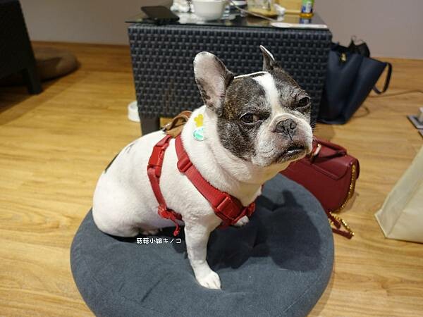 DSC04414.JPG DSC04414.JPG