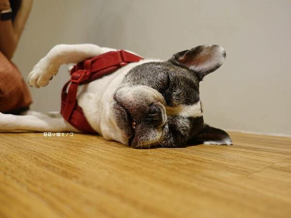 DSC04398.JPG DSC04398.JPG