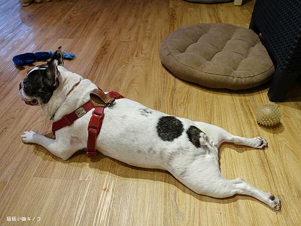 DSC04328.JPG DSC04328.JPG