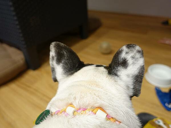 DSC04367.JPG DSC04367.JPG