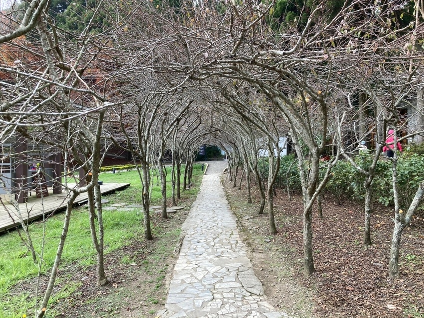 小瑞士花園_210120_44.jpg 小瑞士花園_210120_44.jpg