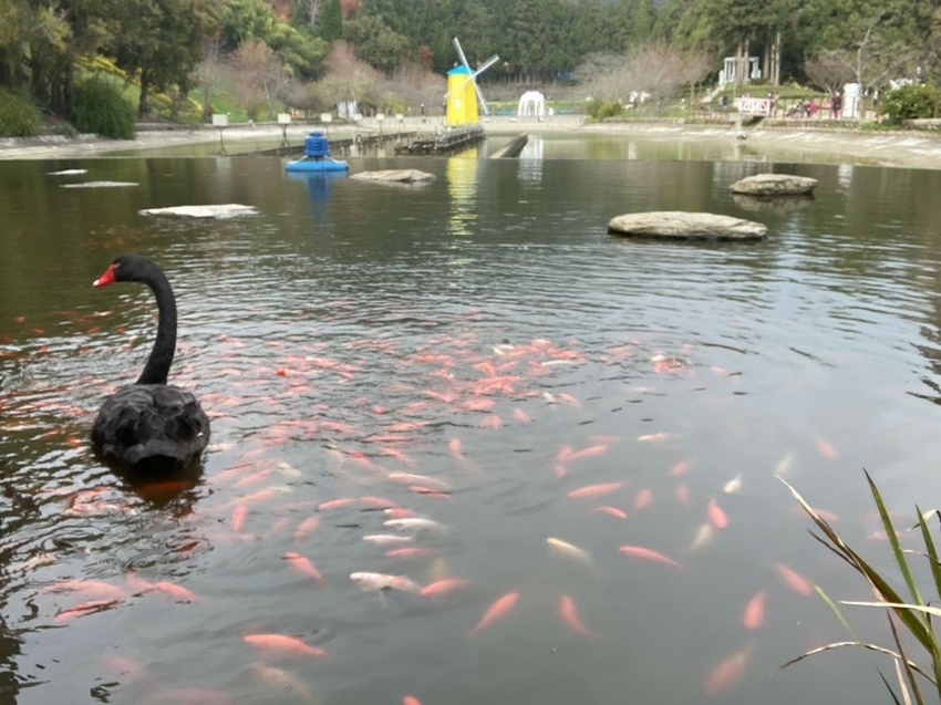 小瑞士花園_210120_86.jpg 小瑞士花園_210120_86.jpg