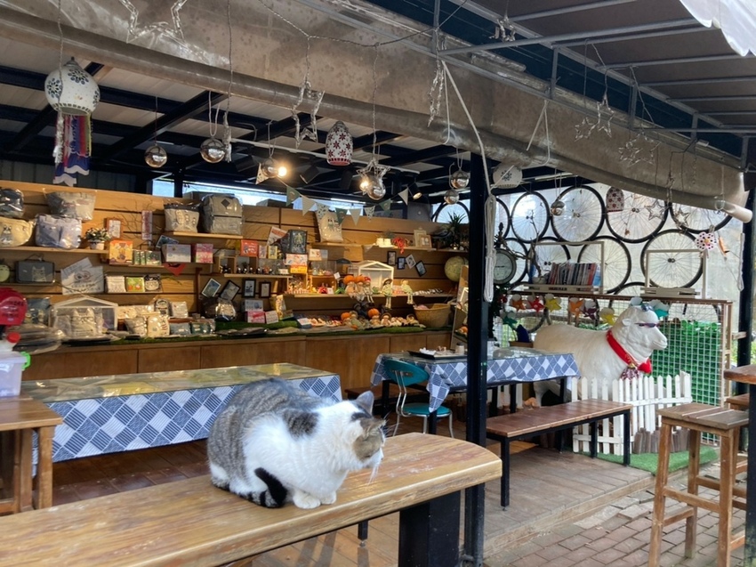 小瑞士花園_210120_39.jpg 小瑞士花園_210120_39.jpg