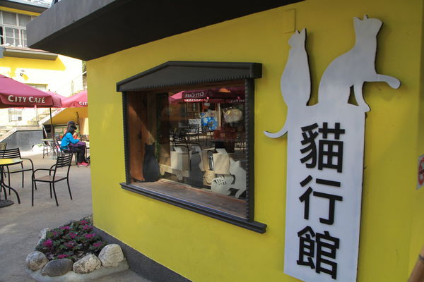 統聯,清境,貓行館,紙箱王,蜜蜂故事館,清境小瑞士花園