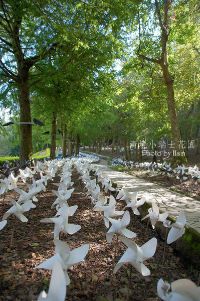 清境小瑞士花園 清境小瑞士花園