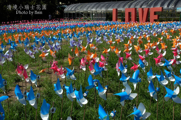 清境小瑞士花園 清境小瑞士花園
