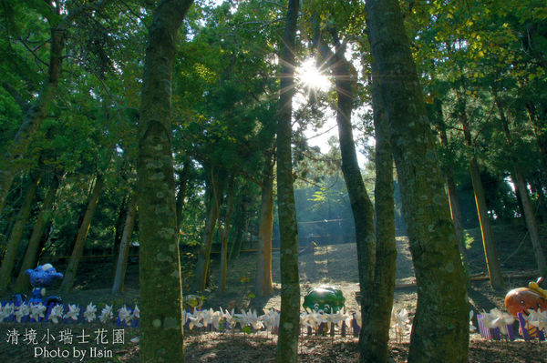 清境小瑞士花园 清境小瑞士花园