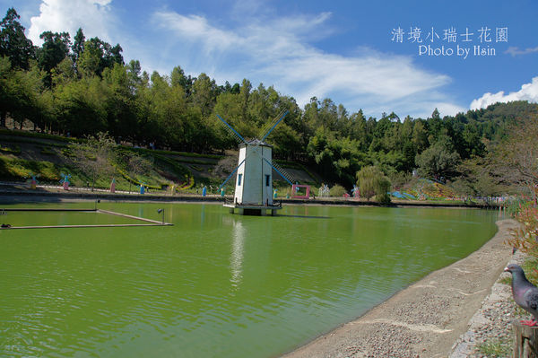 清境小瑞士花園 清境小瑞士花園