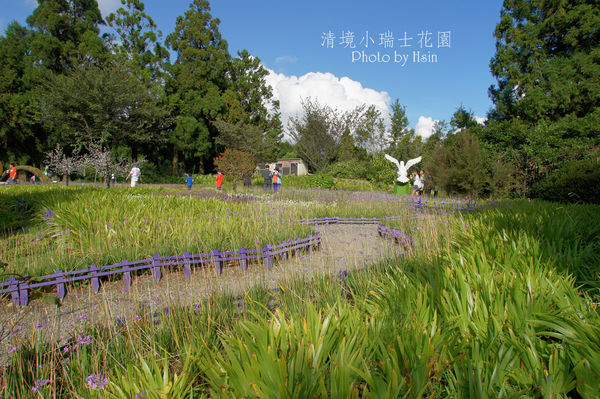 清境小瑞士花園 清境小瑞士花園