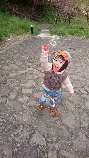 清境小瑞士花園:南投清境~清境小瑞士花園~媲美北歐童話造景~浪漫水上白色教堂~打卡拍照的好地方~ 清境小瑞士花園:南投清境~清境小瑞士花園~媲美北歐童話造景~浪漫水上白色教堂~打卡拍照的好地方~