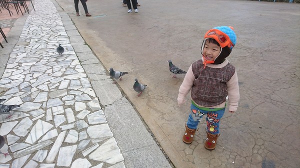 清境小瑞士花園:南投清境~清境小瑞士花園~媲美北歐童話造景~浪漫水上白色教堂~打卡拍照的好地方~ 清境小瑞士花園:南投清境~清境小瑞士花園~媲美北歐童話造景~浪漫水上白色教堂~打卡拍照的好地方~