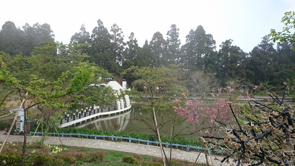 清境小瑞士花園:南投清境~清境小瑞士花園~媲美北歐童話造景~浪漫水上白色教堂~打卡拍照的好地方~ 清境小瑞士花園:南投清境~清境小瑞士花園~媲美北歐童話造景~浪漫水上白色教堂~打卡拍照的好地方~